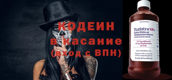сатива Аркадак