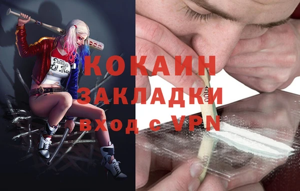 эйфоретик Арсеньев