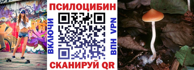 как найти   Крым  Галлюциногенные грибы мицелий 